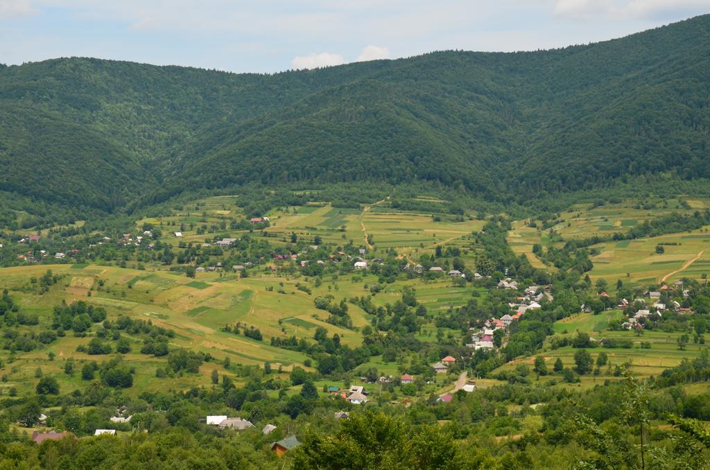 Teremok Guest House Vyška Exteriér fotografie