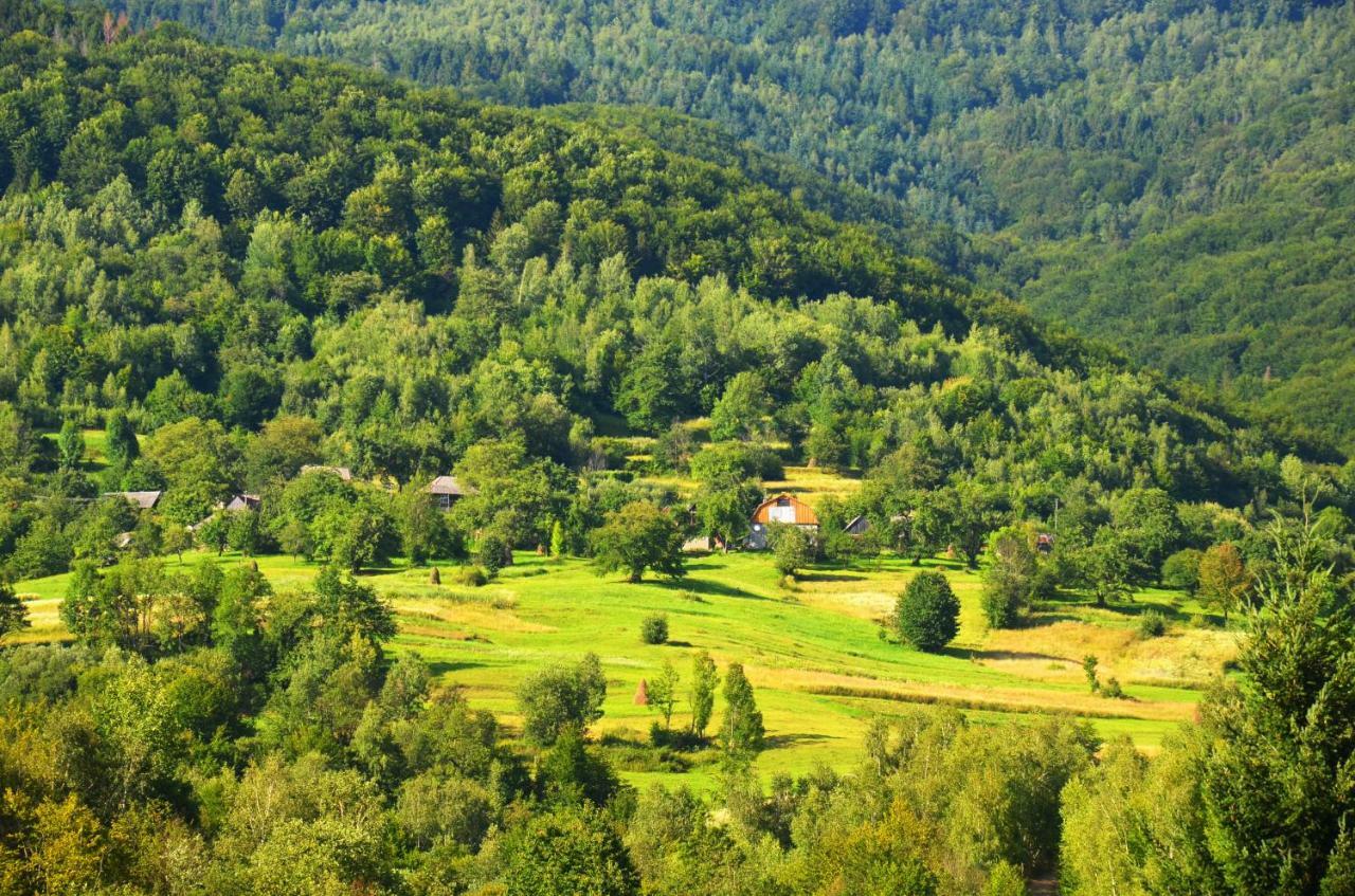 Teremok Guest House Vyška Exteriér fotografie