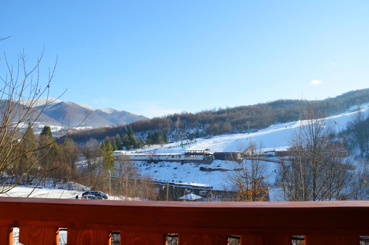 Teremok Guest House Vyška Exteriér fotografie